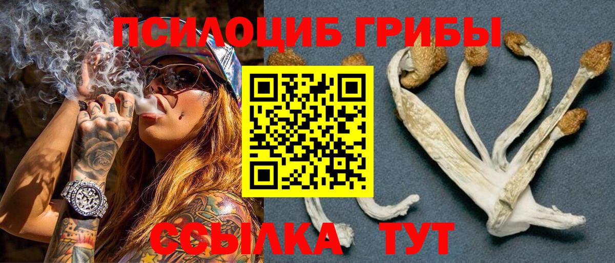 Костомукша  Галлюциногенные грибы мухоморы  Вход с VPN 